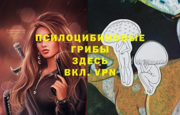 прущий лед Магас