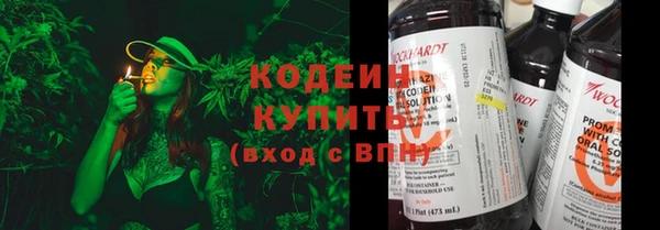 твердый Мегион