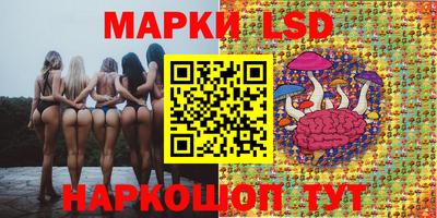 гидропоника Дубна