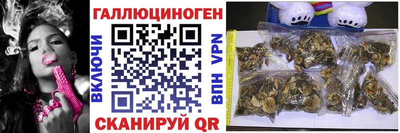 Галлюциногенные грибы GOLDEN TEACHER  Малгобек 