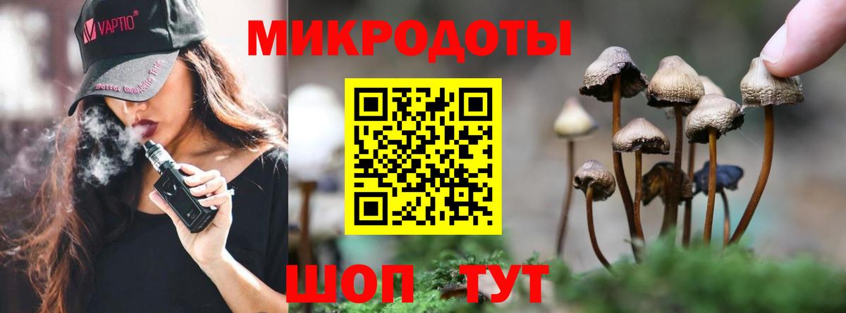 Галлюциногенные грибы прущие грибы  Псилоцибиновые грибы мицелий  Малгобек 