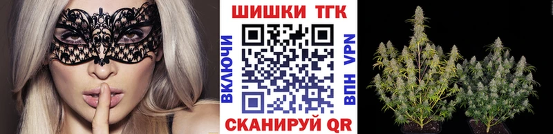 Бошки марихуана марихуана  darknet состав  Малгобек  купить наркотик 